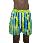 Green and Blue Gucci Shorts