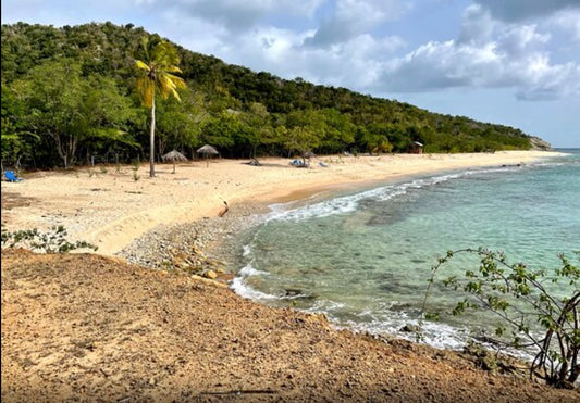 Swimming in Antigua without swimwear - Antigua's Clothing Optional Beach.