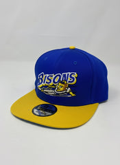 Hat-1665