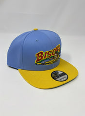Hat-1664
