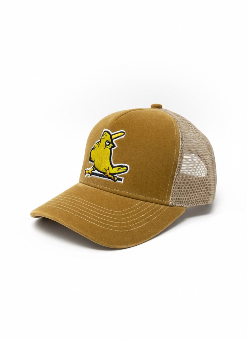 Hat-1683
