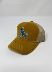 Hat-1469