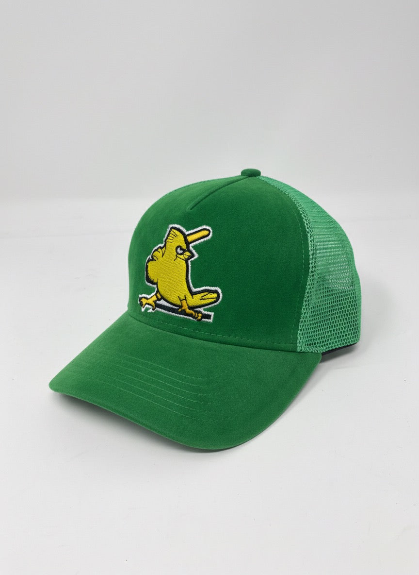 Hat-1431