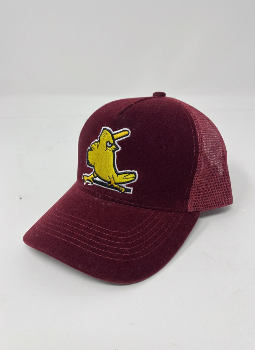 Hat-1527