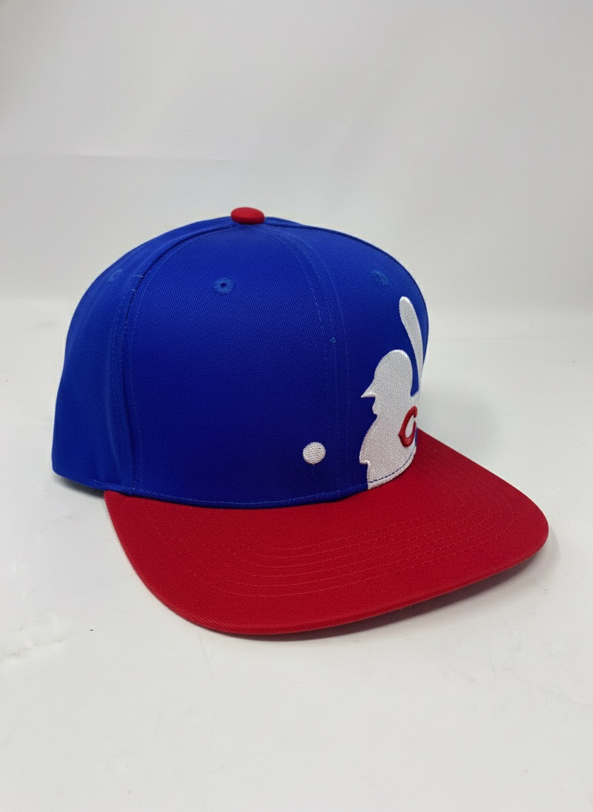 Hat-1748