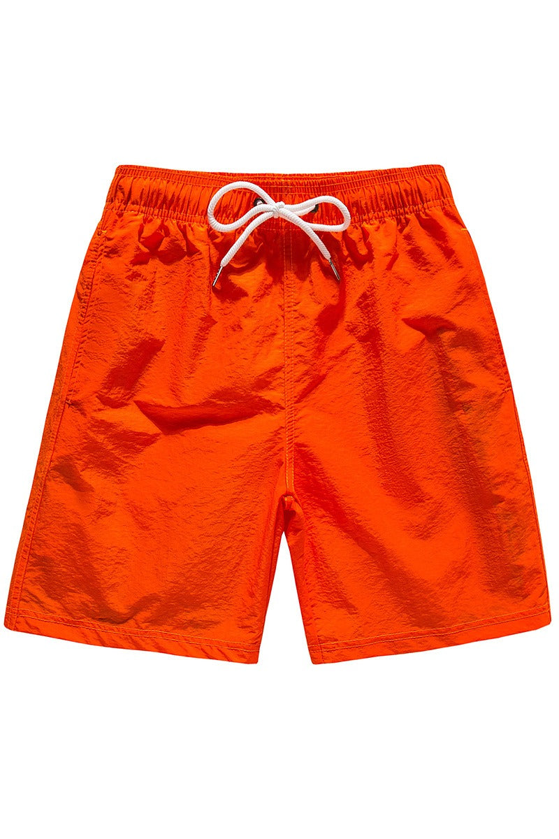 SP71-ORANGE